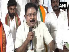 
      
      LS polls: AMMK's TTV Dhinakaran releases party manifesto
      
      