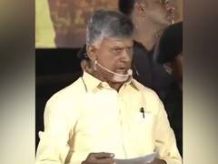 
      
      Action must be taken against those who pelted stones: Chandrababu
      
      