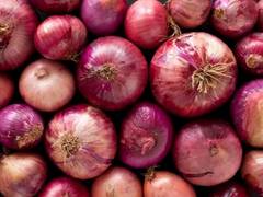 
      
      India allows onion export to Sri Lanka
      
      