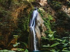 
      
      Study finds biodiversity is key to better mental health
      
      