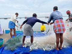 
      
      LS Polls: Puducherry fishermen want modern technology like GPS
      
      