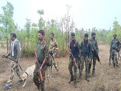 
      
      Maharashtra: Security tightens in Gadchiroli ahead of polls
      
      