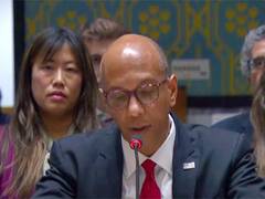 
      
      US vetoes UN Security Council resolution on Palestinian statehood
      
      