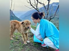 
      
      Shraddha Kapoor shares scenic pictures from her trip to mountains
      
      