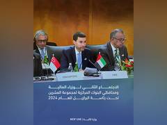 
      
      UAE calls for int'l collaboration to solve global challenges
      
      