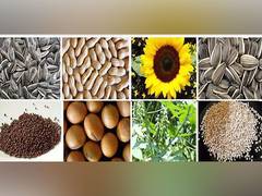 
      
      India exported record oilmeals in 2023-24
      
      