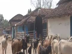 
      
      I will cast vote based on water issue: Bhojtola resident 
      
      
