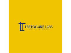 
      
      Testocure Labs Expands Presence with Diagnostic Labs
      
      