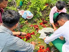 
      
      Assam: Students collect seeds to restore elephant habitats
      
      