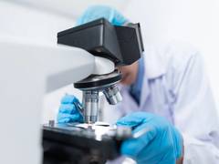 
      
      Rare longevity mutations and cardiovascular disease
      
      