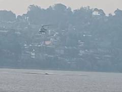 
      
      Massive forest fire rages in Nainital, IAF leads dousing op
      
      