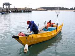 
      
      China to lift ban on Taiwan fish, citrus fruit 
      
      