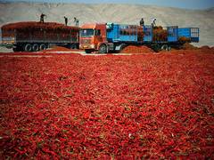 
      
      Over 40,000 kg of Chinese dried chili seized at Taiwan border 
      
      
