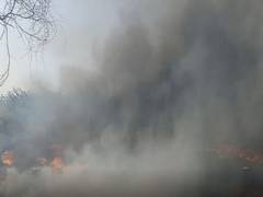 
      
      Fire breaks out in scrap godown in Telangana's Sangareddy 
      
      