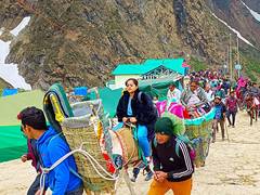 
      
      Food safety standards to be strictly followed on Chardham route
      
      