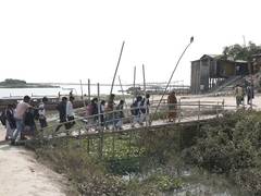 
      
      Absence of bridge, poor transport facilities poll issue in Char 
      
      