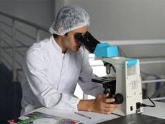 
      
      Mechanism that controls cell division
      
      