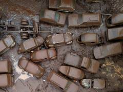 
      
      Brazil's Southern region grapples with deadly rains; 37 killed
      
      
