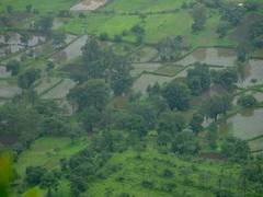 
      
      Above-normal Southwest monsoon anticipated 
      
      