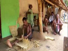 
      
      Kotia caught between Odisha and AP boundaries, to vote on May 13
      
      