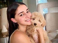 
      
      Ananya Panday gives fans a peek into her cozy Sunday with her pet
      
      