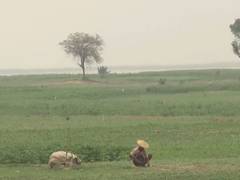 
      
      West Bengal: a small village continues to suffer amid lack of ame
      
      