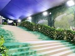 
      
      Met Gala 2024 carpet transformed to green wonderland
      
      