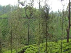 
      
      Visitors welcome decision on e-pass for Nilgiris, Kodaikanal
      
      