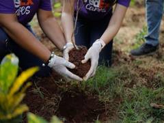 
      
      India to Benefit from FedEx's USD 2 Million Investment
      
      