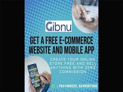 
      
      GIBNU Digital Solutions Pvt. Ltd.: Elevating Local Commerce
      
      