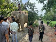
      
      Tripura: Drive launched to radio collar loner jumbo 'Moti'
      
      