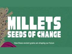 
      
      Google Arts and Culture launches digital exhibition on millets
      
      