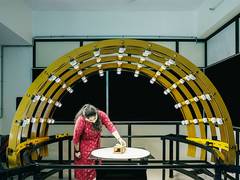 
      
      Nitte Institute of Architecture (NIA): Architects
      
      