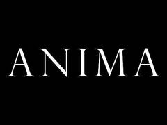 
      
      Anima Expands its Client Roaster Adding a Diverse Range of Talent
      
      