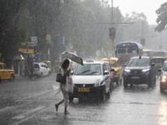 
      
      Karnataka: Tree branch falls on road, damages two vehicles
      
      