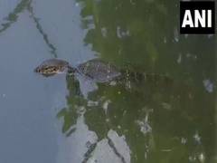 
      
      WB: Kolkata zoo implements heatwave relief measures for animals
      
      