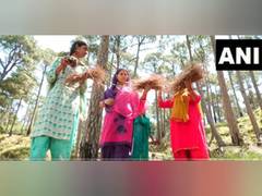 
      
      J-K: Locals convert pine needles into a livelihood opportunity
      
      