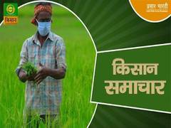 
      
      DD Kisan to launch two AI anchors this Sunday
      
      
