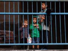 
      
      Hamas representative rejects new negotiations with Israel
      
      