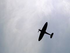 
      
      England: RAF pilot dies as World War II era Spitfire crashes
      
      
