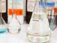 
      
      India sets sights on global renewable ammonia market
      
      
