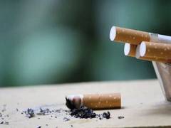 
      
      DRI Mumbai seizes foreign cigarettes worth over Rs 8 crores
      
      