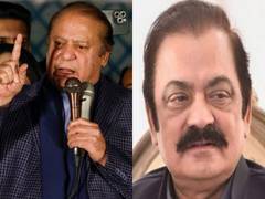 
      
      Nawaz Sharif will proactively play his role...: Rana Sanaullah 
      
      