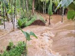 
      
      Cyclone Remal aftermath: Heavy rain, strong winds lash Assam
      
      