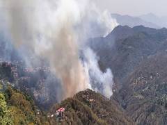 
      
      Himachal Pradesh records 1,033 forest fires since onset of summer
      
      