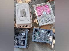 
      
      Mizoram police rescue 24 exotic animals; accused arrested
      
      