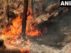 
      
      J-K: 19 fire incidents reported in May in Udhampur
      
      