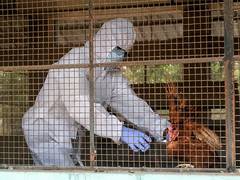 
      
      Centre asks states to undertake preventive measures for bird flu
      
      