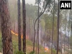 
      
      Fire breaks out at Dingu Forest of Himachal's Bilaspur 
      
      