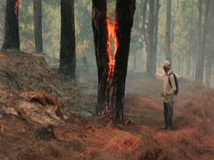 
      
      Forest fire erupts at Gangera Hil in J-K's Udhampur
      
      